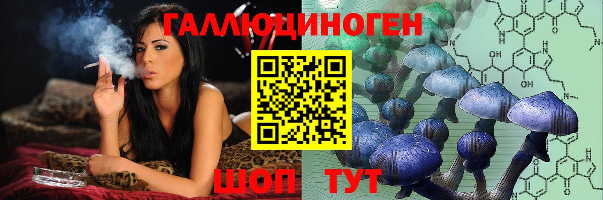 Кстово  Псилоцибиновые грибы мицелий  Вход с VPN 